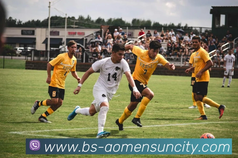 太阳城平台发展历程